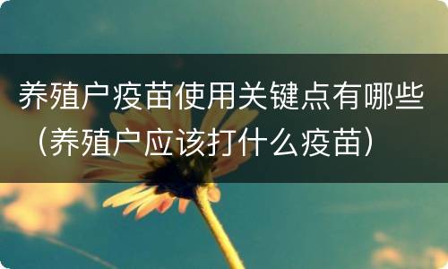 养殖户疫苗使用关键点有哪些（养殖户应该打什么疫苗）