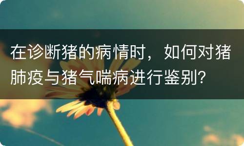 在诊断猪的病情时，如何对猪肺疫与猪气喘病进行鉴别？