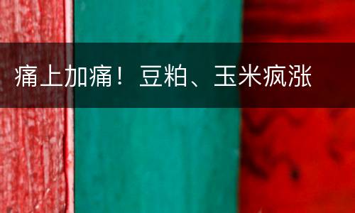 痛上加痛！豆粕、玉米疯涨