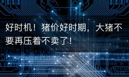 好时机！猪价好时期，大猪不要再压着不卖了！