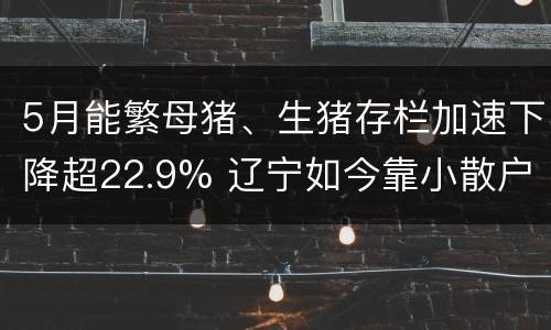5月能繁母猪、生猪存栏加速下降超22.9% 辽宁如今靠小散户供肉