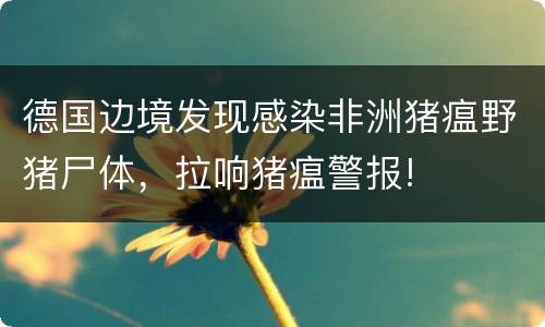 德国边境发现感染非洲猪瘟野猪尸体，拉响猪瘟警报!