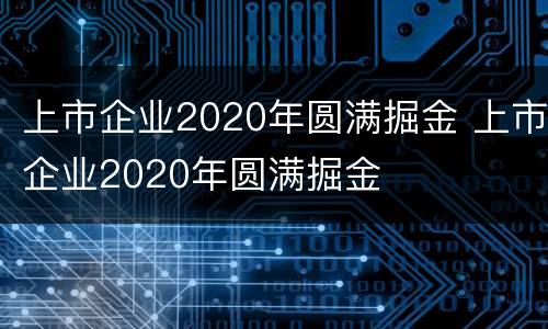 上市企业2020年圆满掘金 上市企业2020年圆满掘金