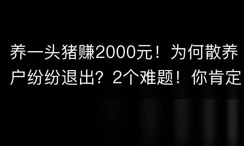 养一头猪赚2000元！为何散养户纷纷退出？2个难题！你肯定有同感