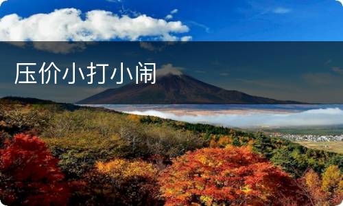 压价小打小闹