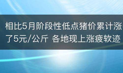 相比5月阶段性低点猪价累计涨了5元/公斤 各地现上涨疲软迹象
