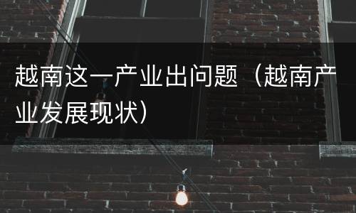 越南这一产业出问题（越南产业发展现状）