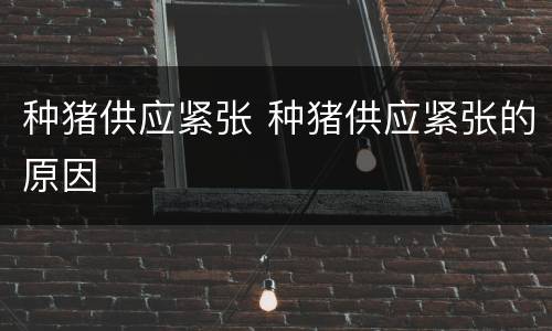 种猪供应紧张 种猪供应紧张的原因