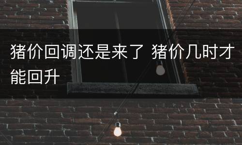 猪价回调还是来了 猪价几时才能回升