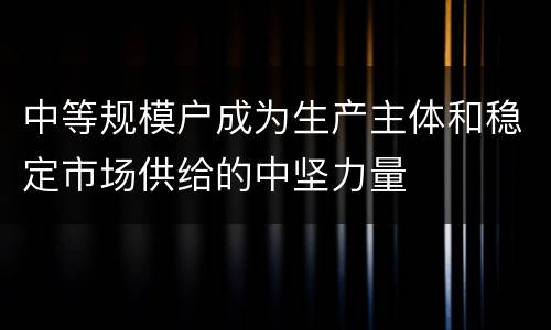 中等规模户成为生产主体和稳定市场供给的中坚力量