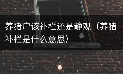 养猪户该补栏还是静观（养猪补栏是什么意思）