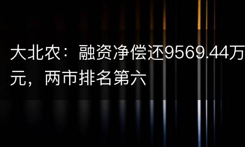 大北农：融资净偿还9569.44万元，两市排名第六