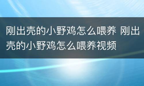 刚出壳的小野鸡怎么喂养 刚出壳的小野鸡怎么喂养视频