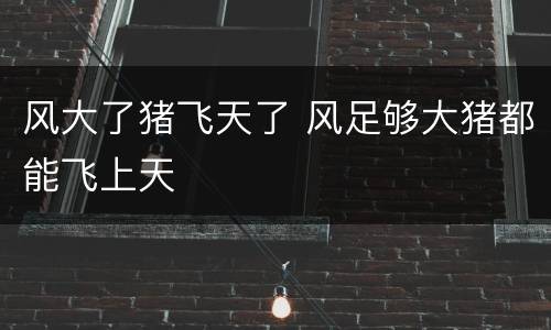 风大了猪飞天了 风足够大猪都能飞上天