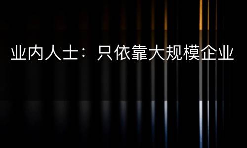 业内人士：只依靠大规模企业