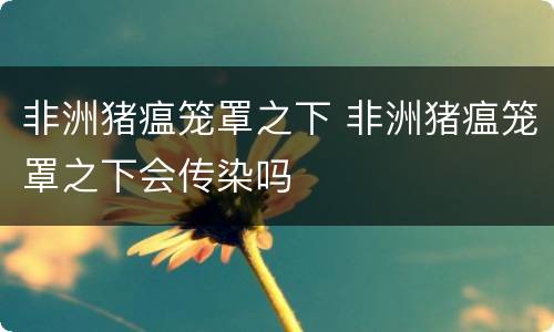 非洲猪瘟笼罩之下 非洲猪瘟笼罩之下会传染吗