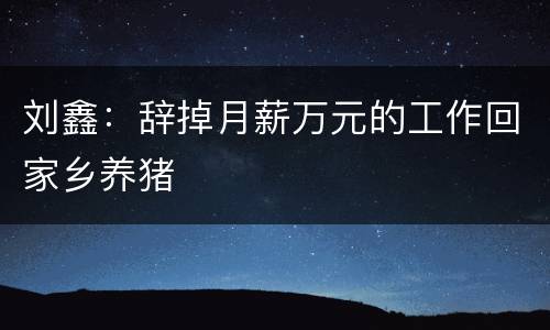 刘鑫：辞掉月薪万元的工作回家乡养猪