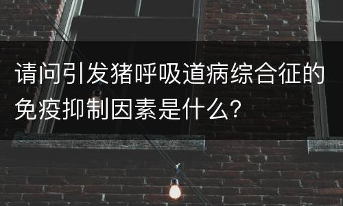 请问引发猪呼吸道病综合征的免疫抑制因素是什么？