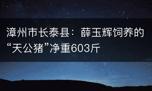 漳州市长泰县：薛玉辉饲养的“天公猪”净重603斤