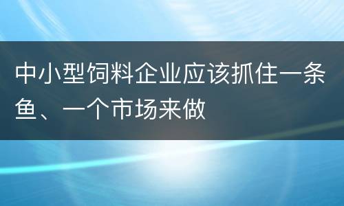 中小型饲料企业应该抓住一条鱼、一个市场来做