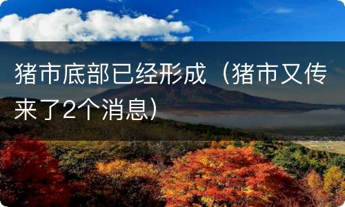 猪市底部已经形成（猪市又传来了2个消息）