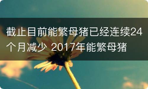 截止目前能繁母猪已经连续24个月减少 2017年能繁母猪