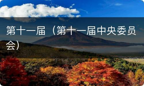第十一届（第十一届中央委员会）