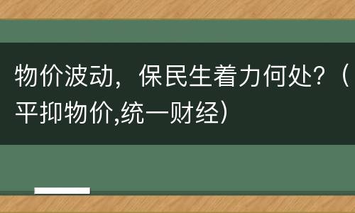 物价波动，保民生着力何处?（平抑物价,统一财经）