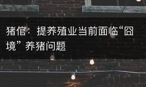 猪倌：提养殖业当前面临“囧境” 养猪问题