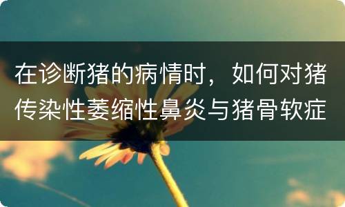 在诊断猪的病情时，如何对猪传染性萎缩性鼻炎与猪骨软症进行鉴别