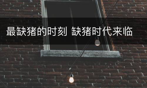 最缺猪的时刻 缺猪时代来临