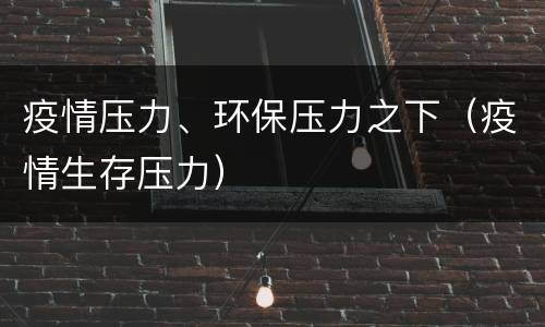 疫情压力、环保压力之下（疫情生存压力）