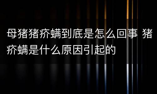 母猪猪疥螨到底是怎么回事 猪疥螨是什么原因引起的