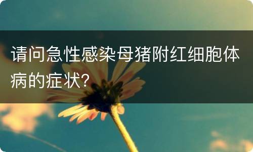 请问急性感染母猪附红细胞体病的症状？