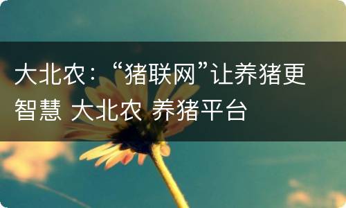 大北农：“猪联网”让养猪更智慧 大北农 养猪平台