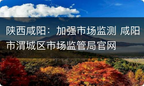陕西咸阳：加强市场监测 咸阳市渭城区市场监管局官网