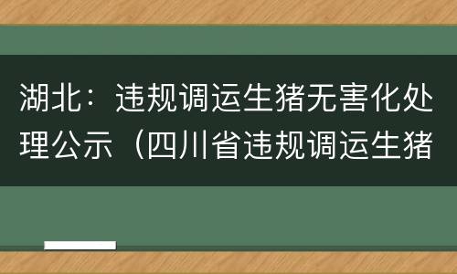 湖北：违规调运生猪无害化处理公示（四川省违规调运生猪无害化处理）