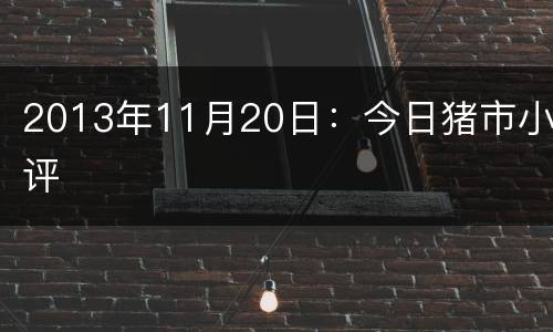 2013年11月20日：今日猪市小评