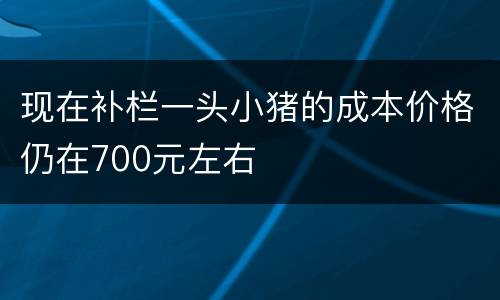 现在补栏一头小猪的成本价格仍在700元左右