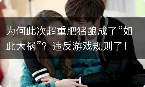 为何此次超重肥猪酿成了“如此大祸”？违反游戏规则了！