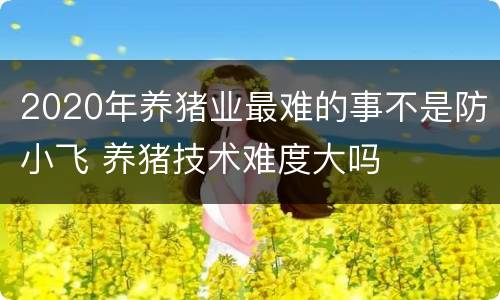 2020年养猪业最难的事不是防小飞 养猪技术难度大吗