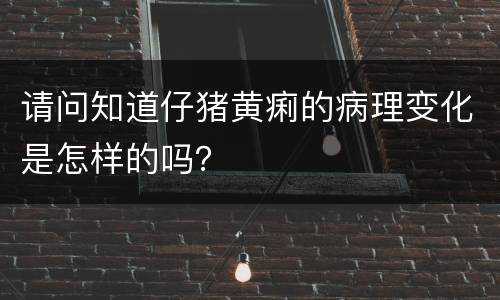 请问知道仔猪黄痢的病理变化是怎样的吗？
