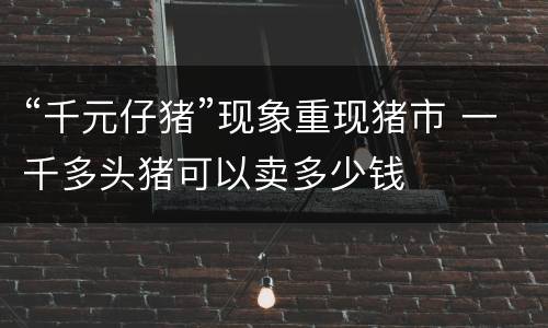 “千元仔猪”现象重现猪市 一千多头猪可以卖多少钱