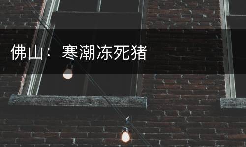 佛山：寒潮冻死猪