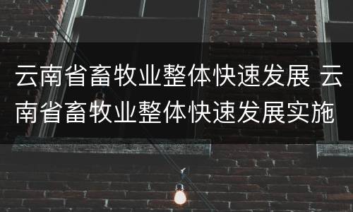 云南省畜牧业整体快速发展 云南省畜牧业整体快速发展实施方案
