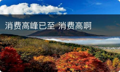 消费高峰已至 消费高啊
