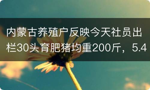 内蒙古养殖户反映今天社员出栏30头育肥猪均重200斤，5.4元每斤
