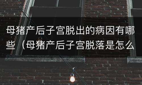 母猪产后子宫脱出的病因有哪些（母猪产后子宫脱落是怎么回事）