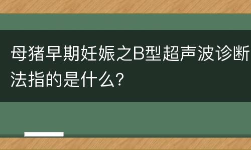 母猪早期妊娠之B型超声波诊断法指的是什么？