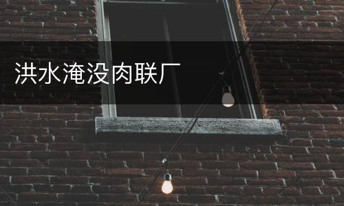 洪水淹没肉联厂